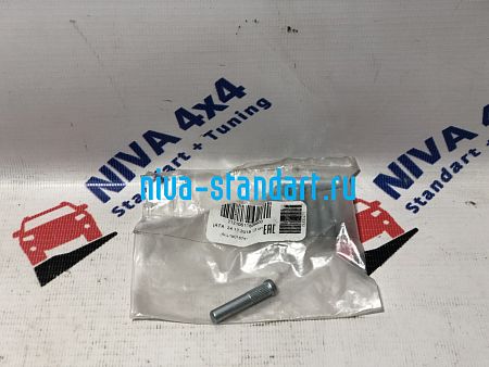 21210-6106096	палец ограничителя двери